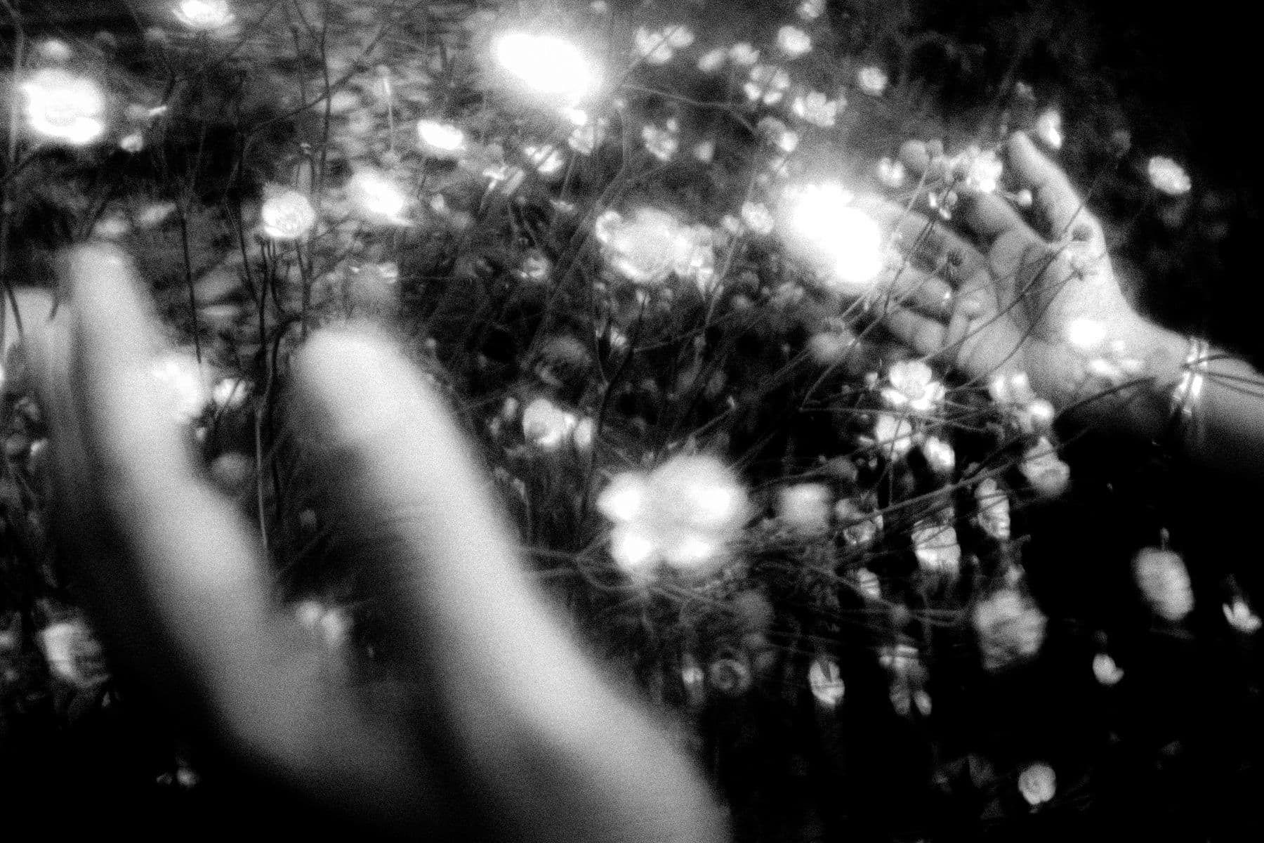 Hands reaching through wildflowers, caught in flash at night.